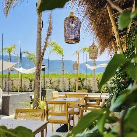 Appartamento Palmera Escape Radhime